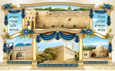 אבות תושיע 3*2.30 מטר