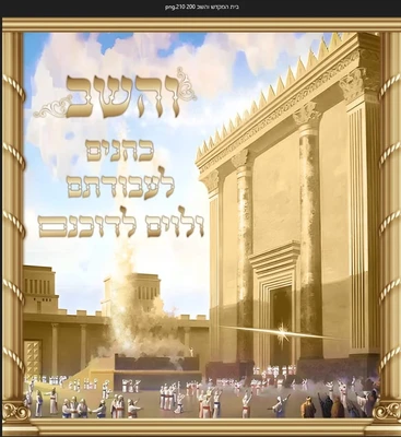 והשב כהנים 2*2.10 מטר
