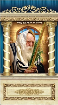 הרב קנייבסקי 1*1.60 מטר