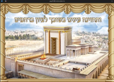 ותחזינה בית מקדש 3*2.10 מטר